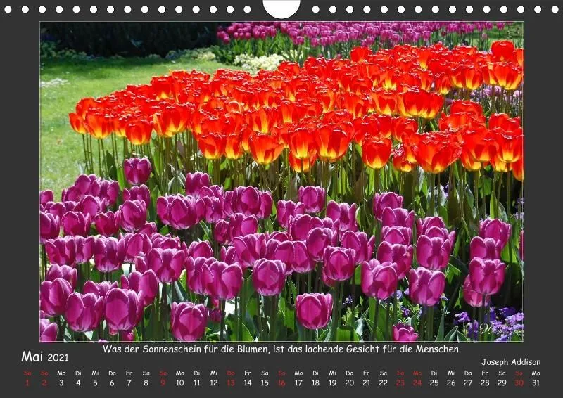 Holistic Arts Jahreszeiten Kalender 2021 - Jahreszeiten A4