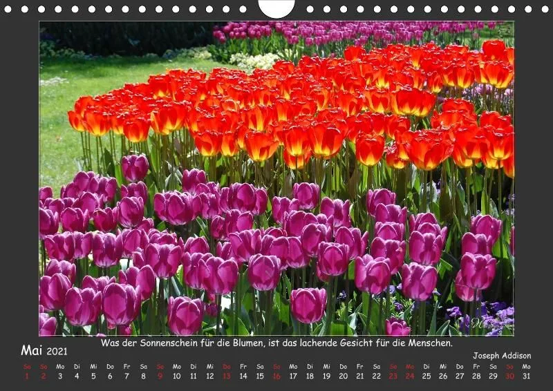 Holistic Arts Jahreszeiten Kalender 2021 - Jahreszeiten A4
