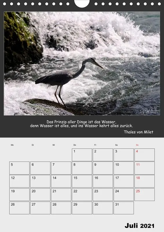Holistic Arts Rheinfall-Termin-Kalender 2021 - Lebendiges Wasser