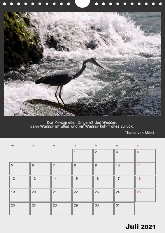 Holistic Arts Rheinfall-Termin-Kalender 2021 - Lebendiges Wasser