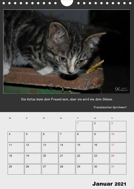 Holistic Arts Katzen-Termin-Kalender 2021 - Aristocats