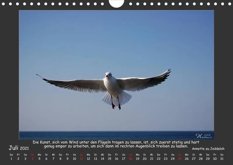 Holistic Arts Meeres-Kalender 2021 - Viel Meer A4