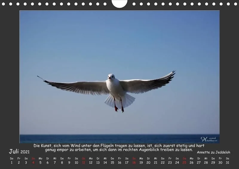 Holistic Arts Meeres-Kalender 2021 - Viel Meer A4