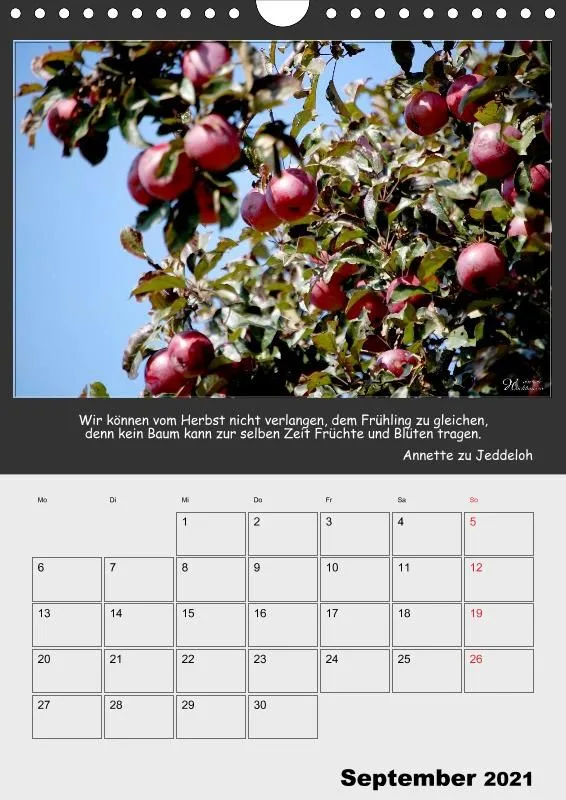 Holistic Arts Jahreszeiten Termin-Kalender 2021 - Jahreszeiten