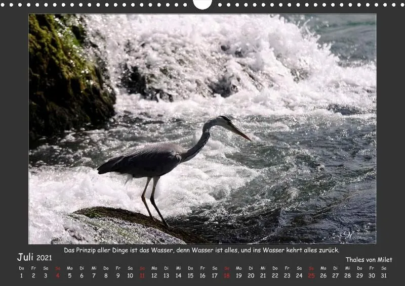 Holistic Arts Rheinfall-Kalender 2021 - Lebendiges Wasser A3