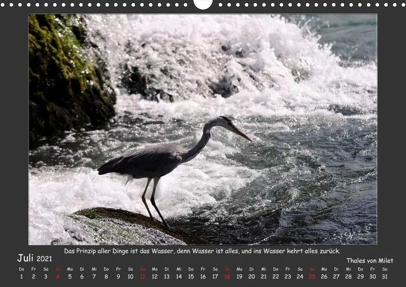 Holistic Arts Rheinfall-Kalender 2021 - Lebendiges Wasser A3