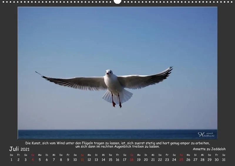 Holistic Arts Meeres-Kalender 2021 - Viel Meer A2