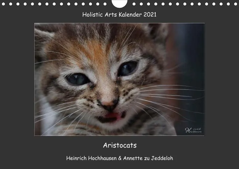 Holistic Arts Katzen-Kalender 2021 - Aristocats A4