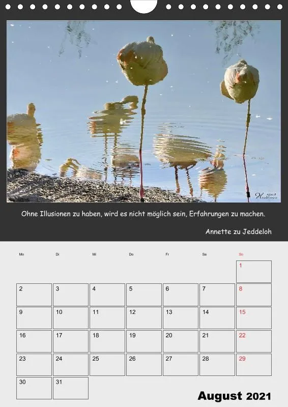 Holistic Arts Spiegelungen-Termin-Kalender 2021- Illusionen