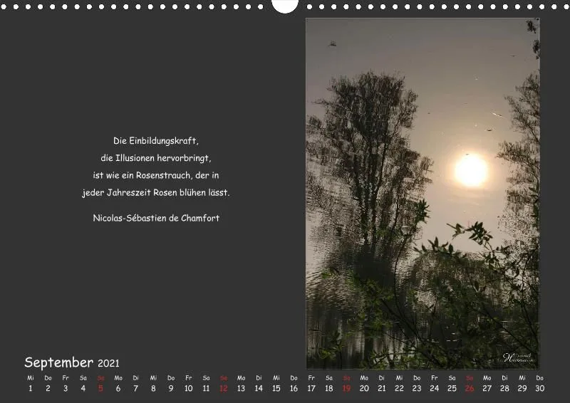 Holistic Arts Spiegelungen-Kalender 2021 - Illusionen A3