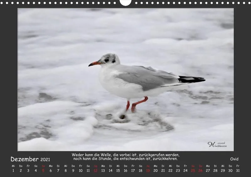 Holistic Arts Strand-Kalender 2021 - Strandgut A3