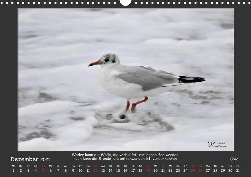 Holistic Arts Strand-Kalender 2021 - Strandgut A3