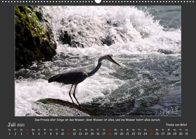 Holistic Arts Rheinfall-Kalender 2021 - Lebendiges Wasser A2