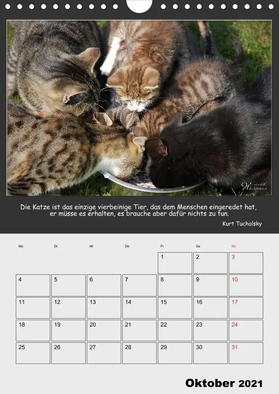 Holistic Arts Katzen-Termin-Kalender 2021 - Aristocats