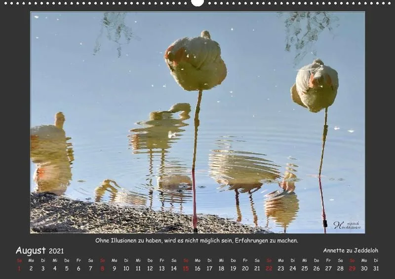 Holistic Arts Spiegelungen-Kalender 2021 - Illusionen A2