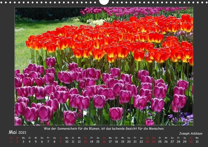 Holistic Arts Jahreszeiten Kalender 2021 - Jahreszeiten A3