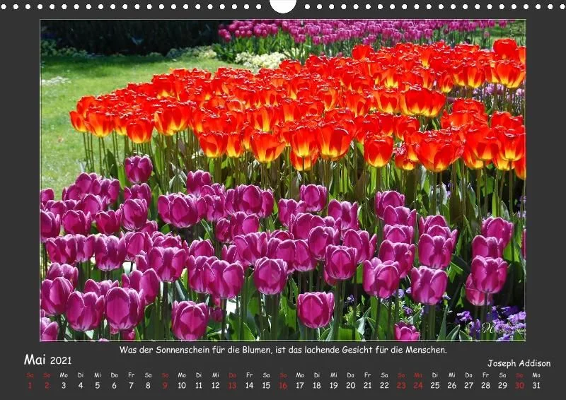 Holistic Arts Jahreszeiten Kalender 2021 - Jahreszeiten A3
