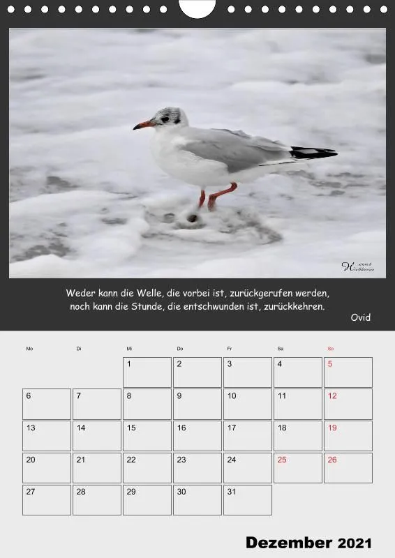 Holistic Arts Strand-Termin-Kalender 2021 - Strandgut