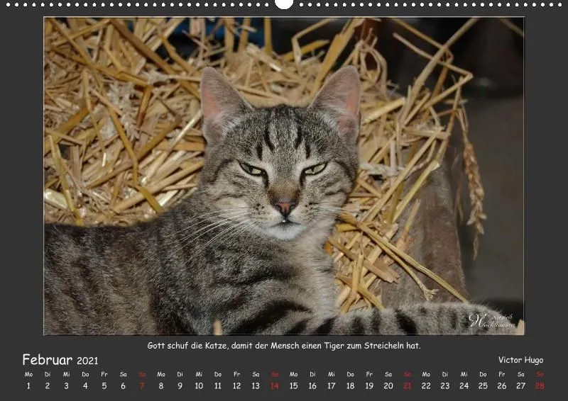 Holistic Arts Katzen-Kalender 2021 - Aristocats A2