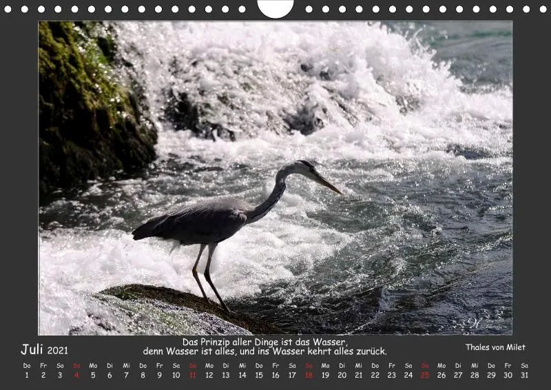 Holistic Arts Rheinfall-Kalender 2021 - Lebendiges Wasser A4