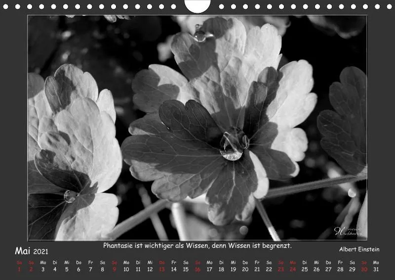 Holistic Arts Schwarzweiß-Kalender 2021 Kontraste A4