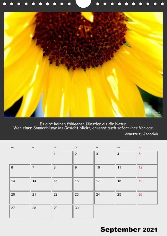 Holistic Arts Blumen-Termin-Kalender 2021 - Lächeln der Erde