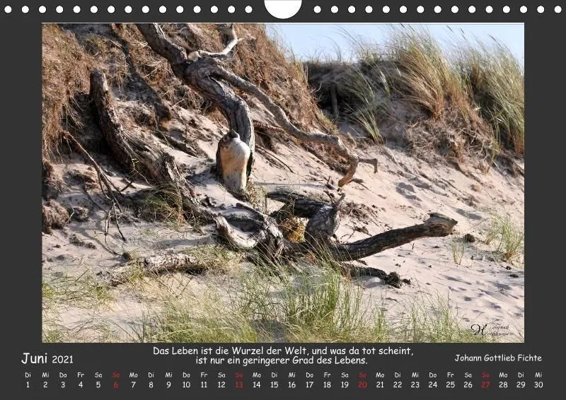 Holistic Arts Strand-Kalender 2021 - Strandgut A4
