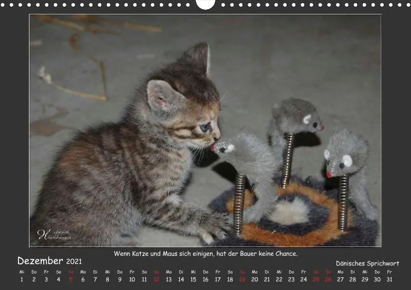 Holistic Arts Katzen-Kalender 2021 - Aristocats A3