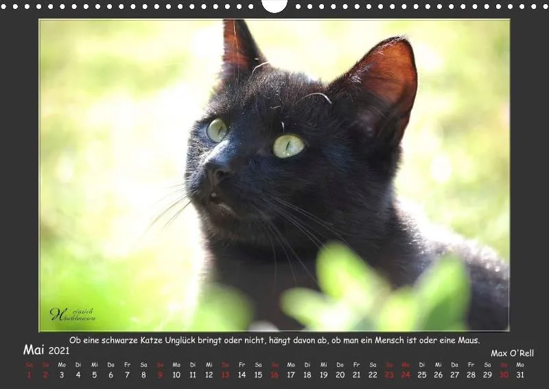 Holistic Arts Katzen-Kalender 2021 - Aristocats A3