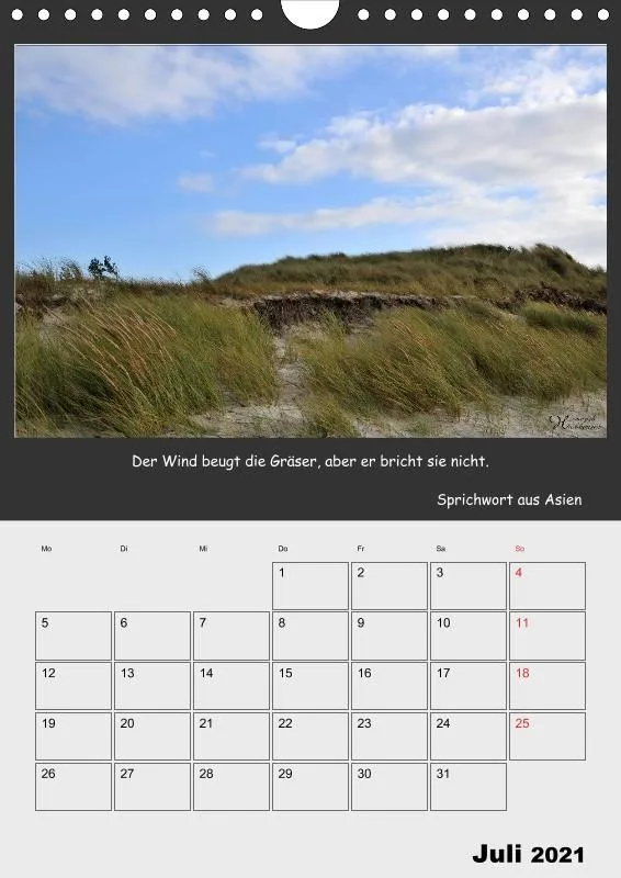 Holistic Arts Strand-Termin-Kalender 2021 - Strandgut
