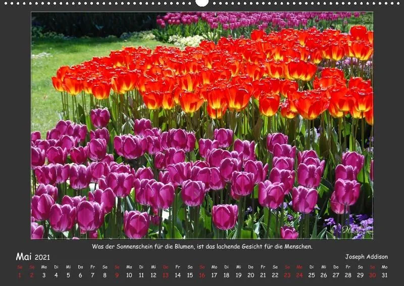 Holistic Arts Jahreszeiten Kalender 2021 - Jahreszeiten A2