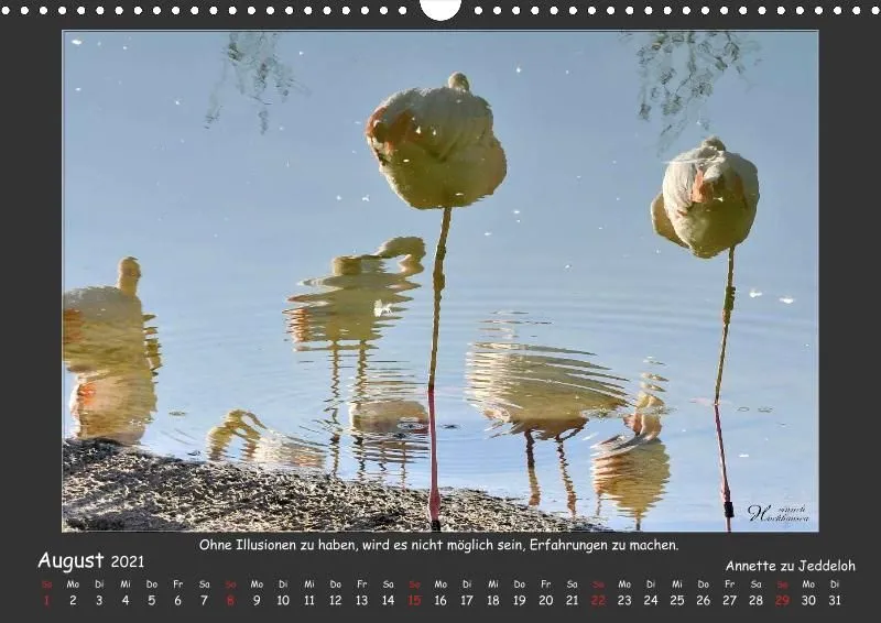 Holistic Arts Spiegelungen-Kalender 2021 - Illusionen A3