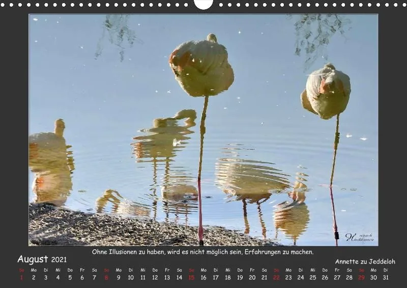 Holistic Arts Spiegelungen-Kalender 2021 - Illusionen A3