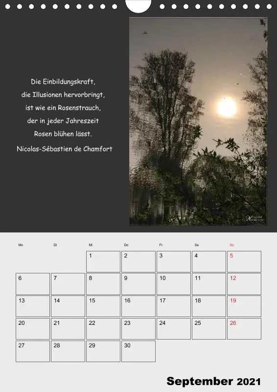 Holistic Arts Spiegelungen-Termin-Kalender 2021- Illusionen