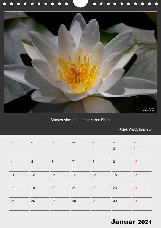 Holistic Arts Blumen-Termin-Kalender 2021 - Lächeln der Erde