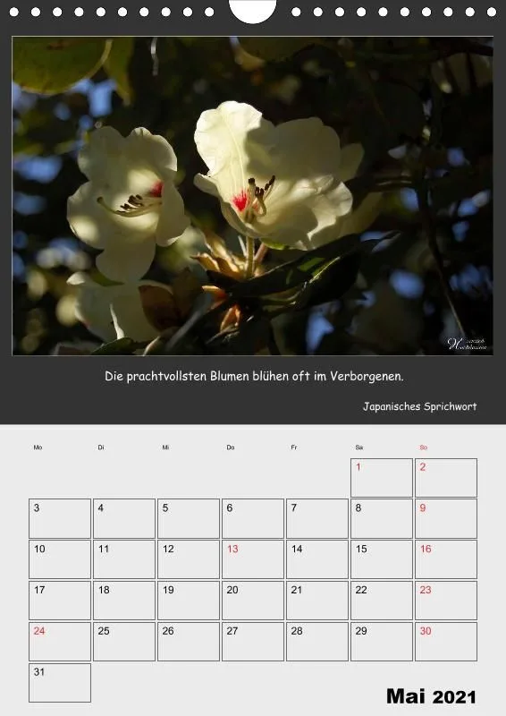 Holistic Arts Blumen-Termin-Kalender 2021 - Lächeln der Erde