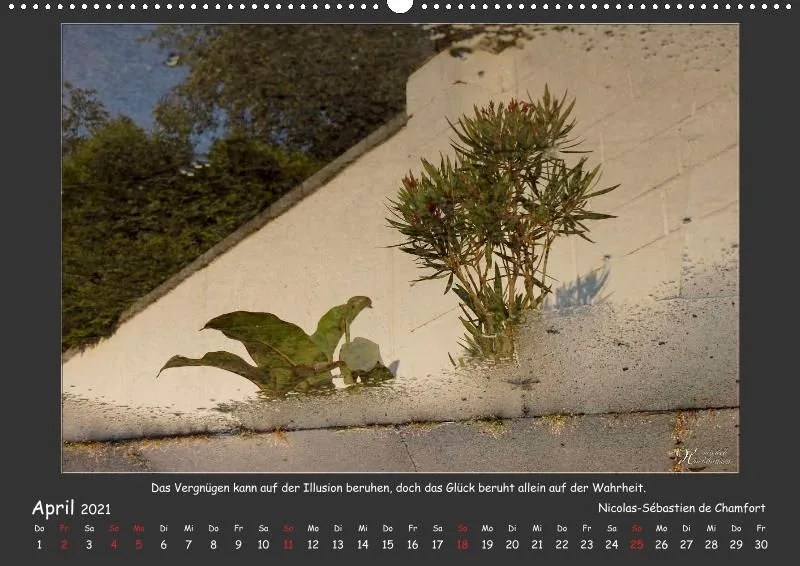 Holistic Arts Spiegelungen-Kalender 2021 - Illusionen A2