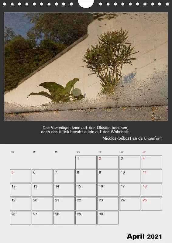 Holistic Arts Spiegelungen-Termin-Kalender 2021- Illusionen