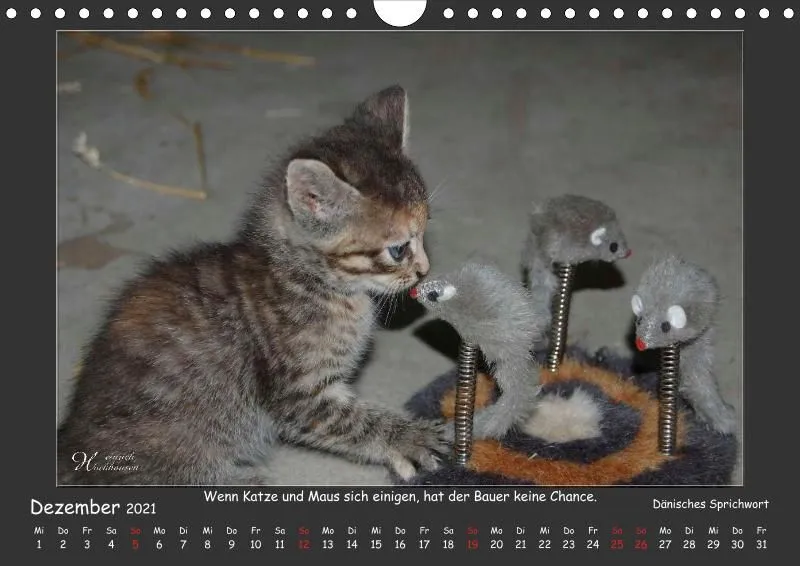 Holistic Arts Katzen-Kalender 2021 - Aristocats A4