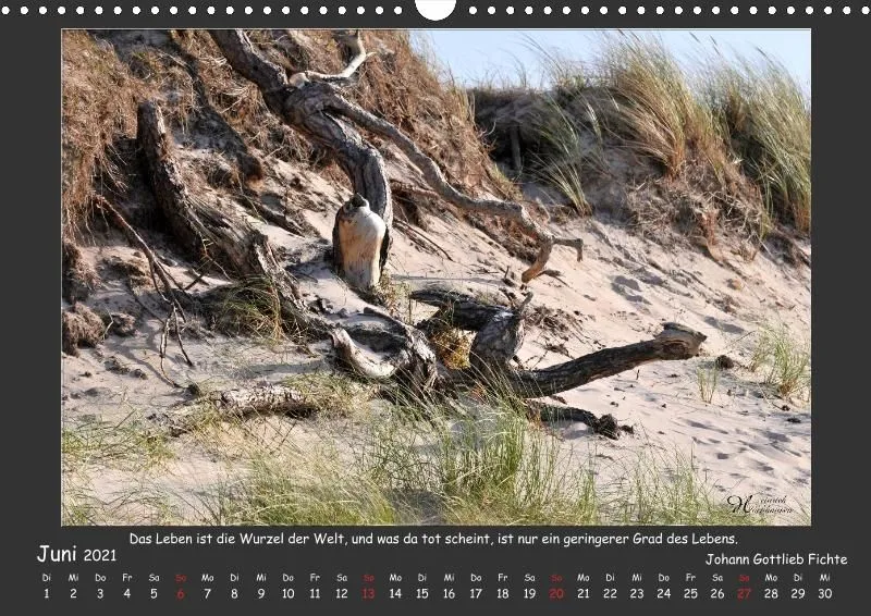 Holistic Arts Strand-Kalender 2021 - Strandgut A3