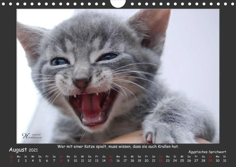 Holistic Arts Katzen-Kalender 2021 - Aristocats A4