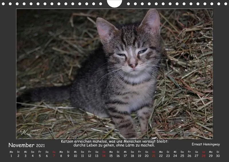Holistic Arts Katzen-Kalender 2021 - Aristocats A4