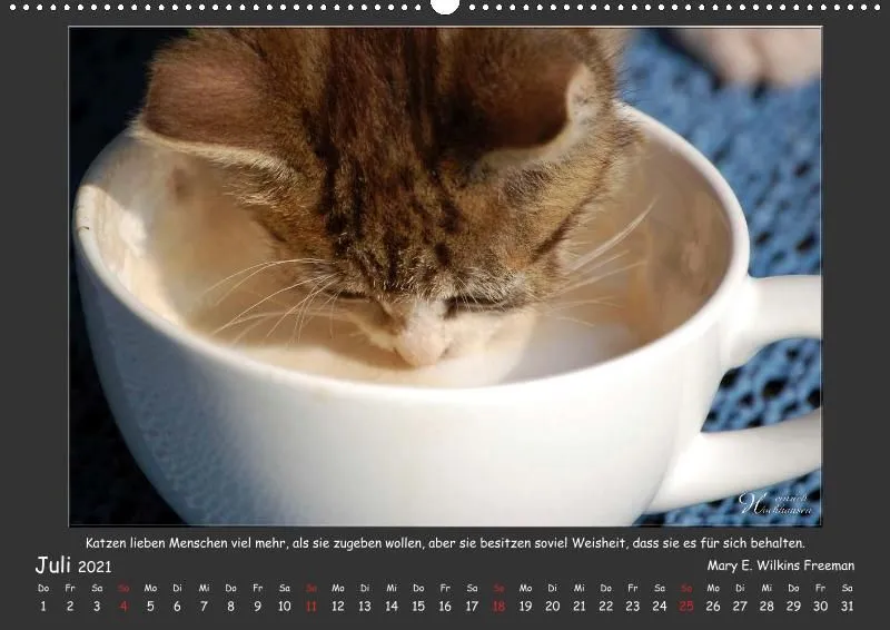 Holistic Arts Katzen-Kalender 2021 - Aristocats A2