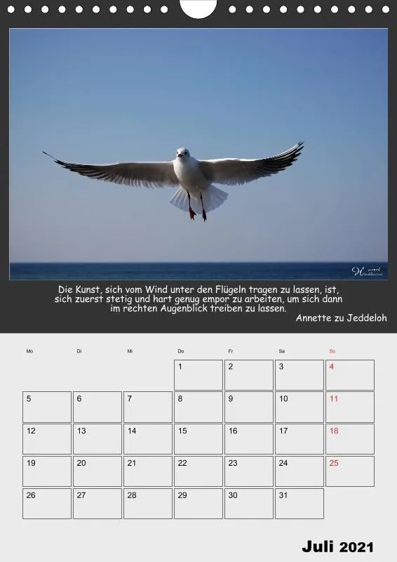 Holistic Arts Meeres-Termin-Kalender 2021 - Viel Meer