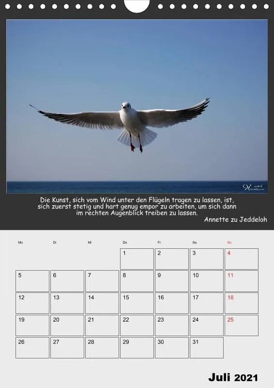 Holistic Arts Meeres-Termin-Kalender 2021 - Viel Meer
