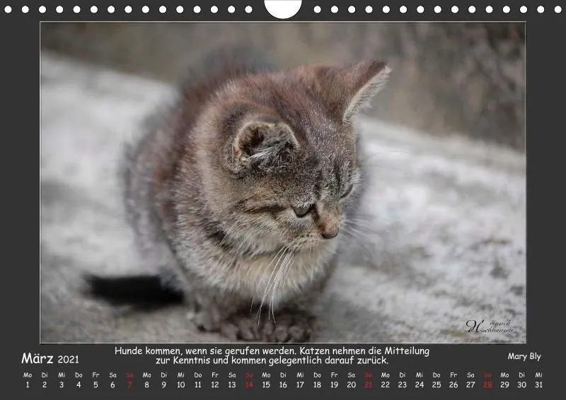 Holistic Arts Katzen-Kalender 2021 - Aristocats A4
