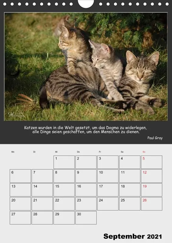 Holistic Arts Katzen-Termin-Kalender 2021 - Aristocats