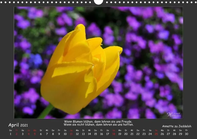 Holistic Arts Blumen-Kalender 2021 - Lächeln der Erde A3