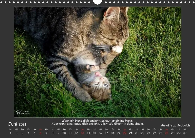 Holistic Arts Katzen-Kalender 2021 - Aristocats A3