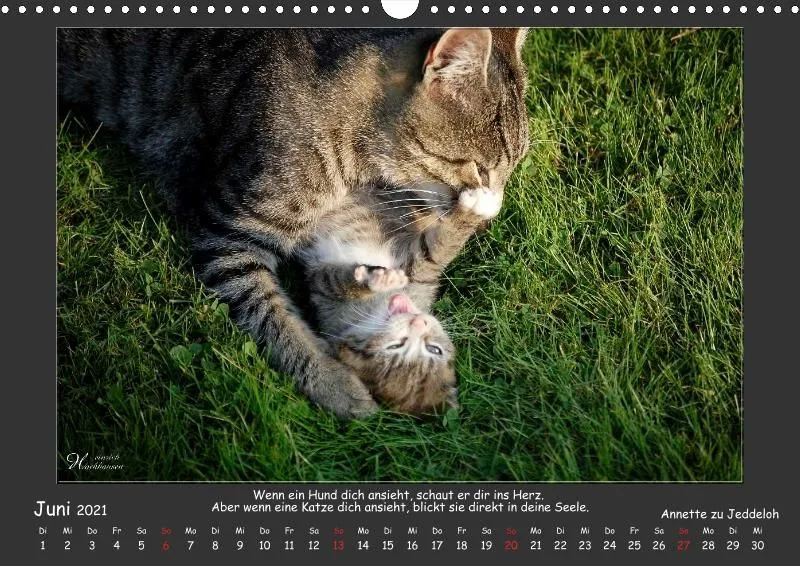 Holistic Arts Katzen-Kalender 2021 - Aristocats A3